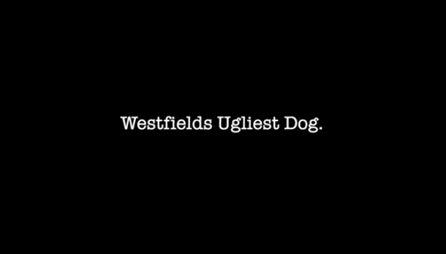 Westfield’s Ugliest Dog